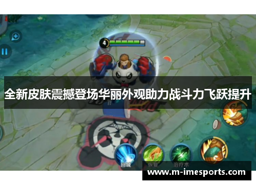 全新皮肤震撼登场华丽外观助力战斗力飞跃提升