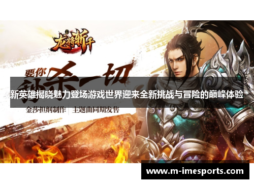 新英雄揭晓魅力登场游戏世界迎来全新挑战与冒险的巅峰体验
