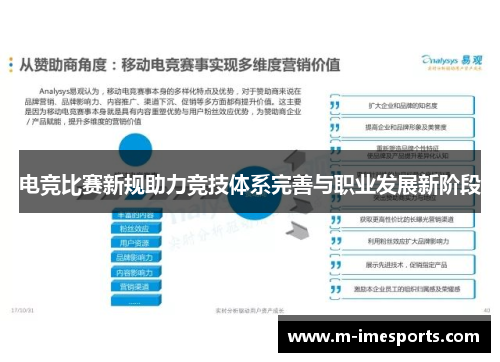 电竞比赛新规助力竞技体系完善与职业发展新阶段