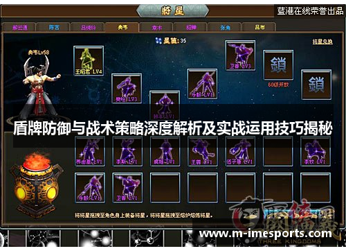 盾牌防御与战术策略深度解析及实战运用技巧揭秘
