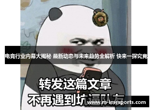 电竞行业内幕大揭秘 最新动态与未来趋势全解析 快来一探究竟