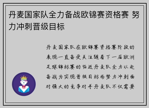 丹麦国家队全力备战欧锦赛资格赛 努力冲刺晋级目标
