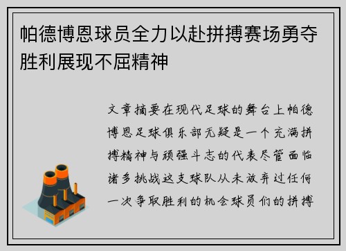 帕德博恩球员全力以赴拼搏赛场勇夺胜利展现不屈精神