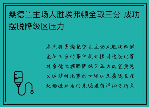 桑德兰主场大胜埃弗顿全取三分 成功摆脱降级区压力