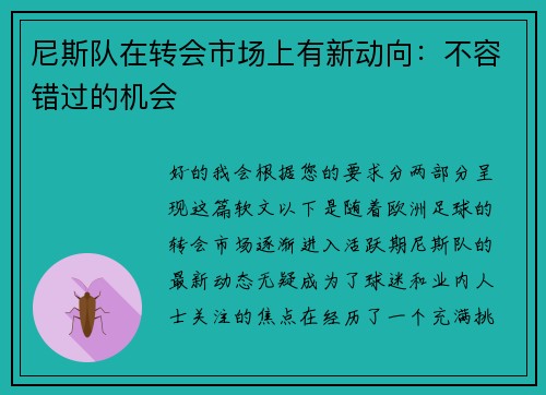 尼斯队在转会市场上有新动向：不容错过的机会