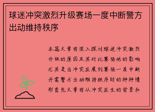 球迷冲突激烈升级赛场一度中断警方出动维持秩序