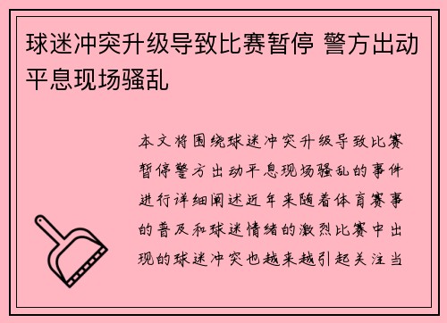 球迷冲突升级导致比赛暂停 警方出动平息现场骚乱
