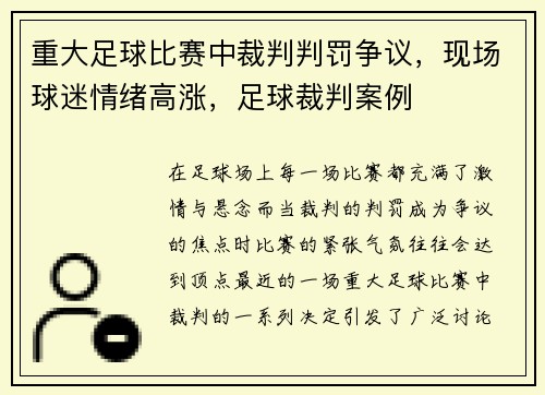 重大足球比赛中裁判判罚争议，现场球迷情绪高涨，足球裁判案例